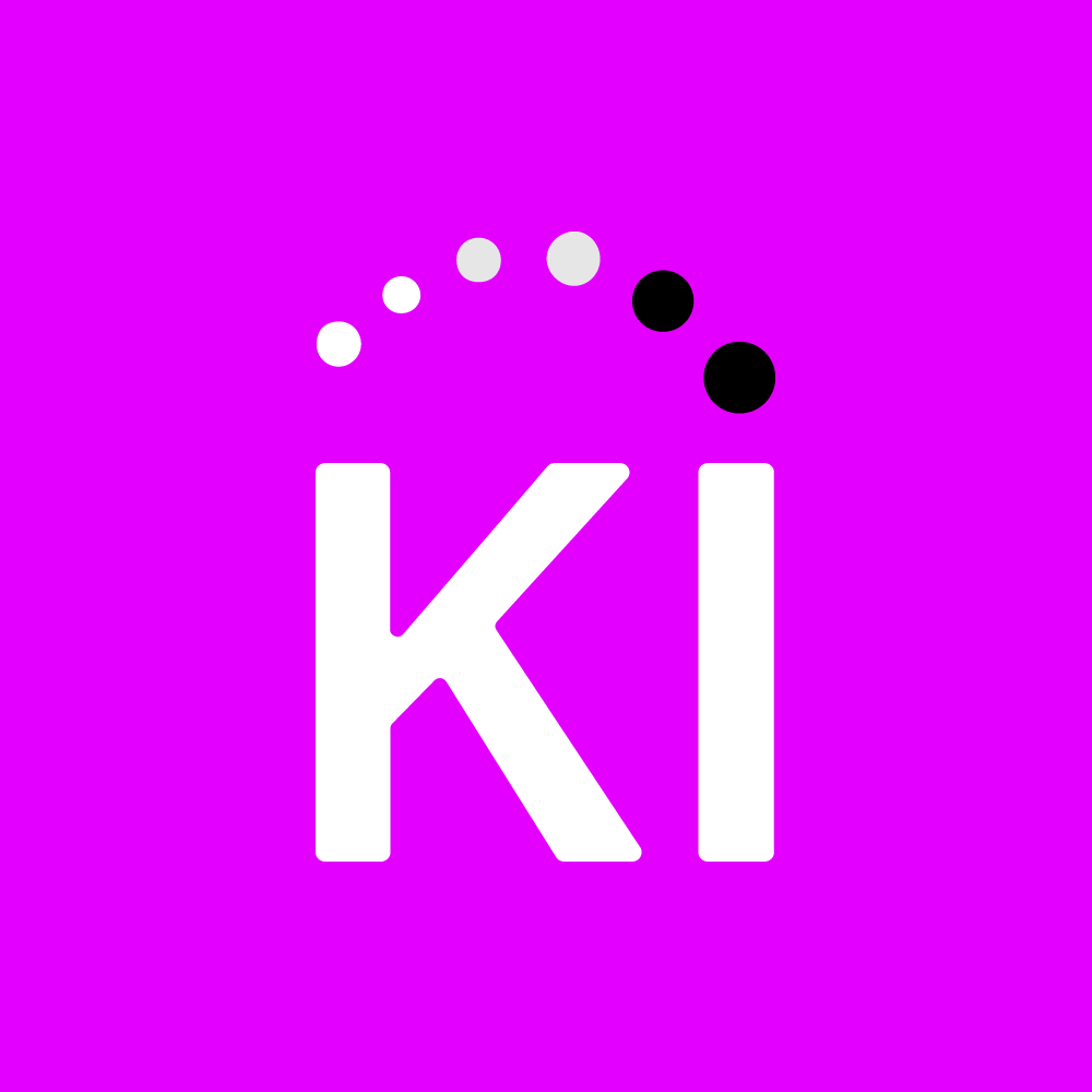 Logo Kashinsight